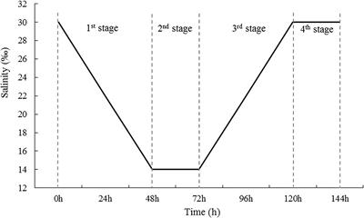 Effects of Sudden Drop in Salinity on Osmotic Pressure Regulation and Antioxidant Defense Mechanism of Scapharca subcrenata